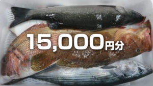 おすすめ＋高級魚セット 15,000円